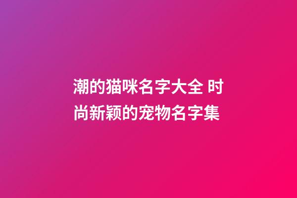 潮的猫咪名字大全 时尚新颖的宠物名字集
